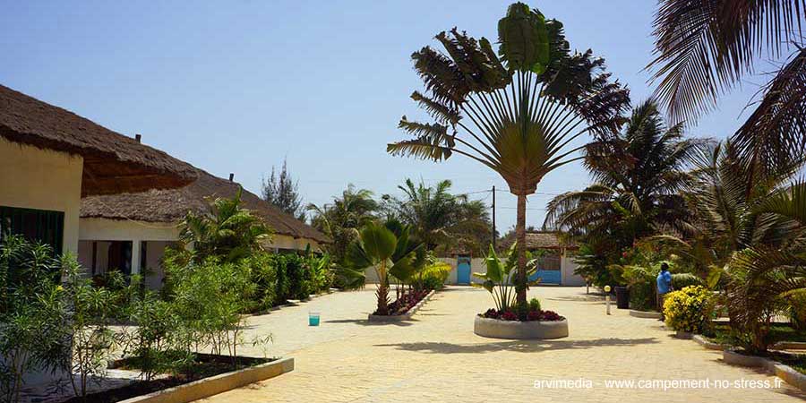 L'arbre du voyageur trône au milieu du No Stress location de vacances cap skirring 